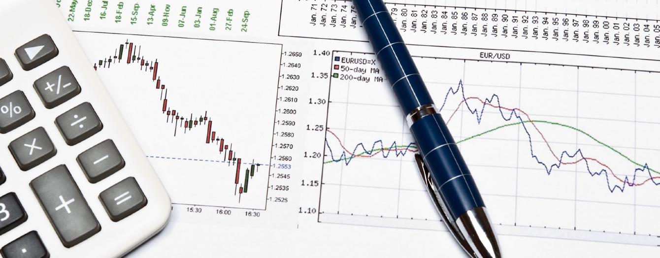 有価証券報告書／四半期報告書