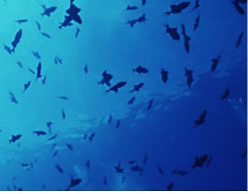 Kitagawaは循環型社会の実現に向けて環境機器をご提案いたします